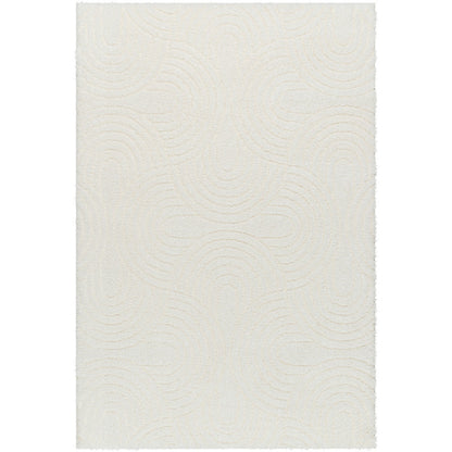 RUNA Shaggy Modern Plush Pile Light Beige/Ivory Area Rug Flat