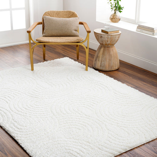 RUNA Shaggy Modern Plush Pile Light Beige/Ivory Area Rug Roomscene