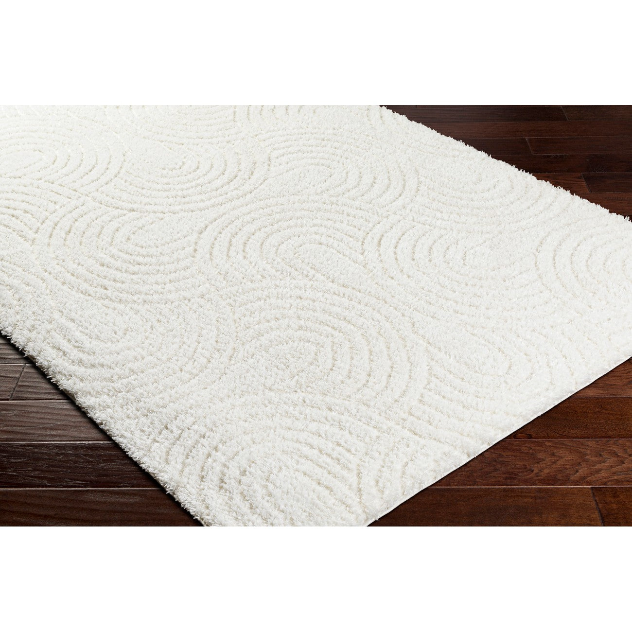 RUNA Shaggy Modern Plush Pile Light Beige/Ivory Area Rug Corner