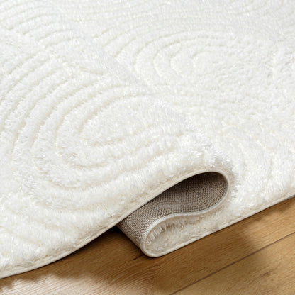 RUNA Shaggy Modern Plush Pile Light Beige/Ivory Area Rug Fold