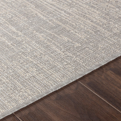 SHELBY Indoor & Outdoor Modern Light Grey/Beige Area Rug Texture