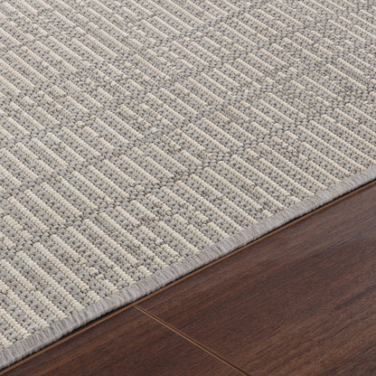 KASSIE Indoor & Outdoor Modern Light Grey/Beige Area Rug Texture