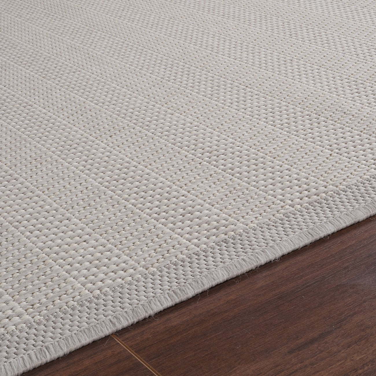 TONIE Indoor & Outdoor Modern Light Grey/Ivory Area Rug Texture