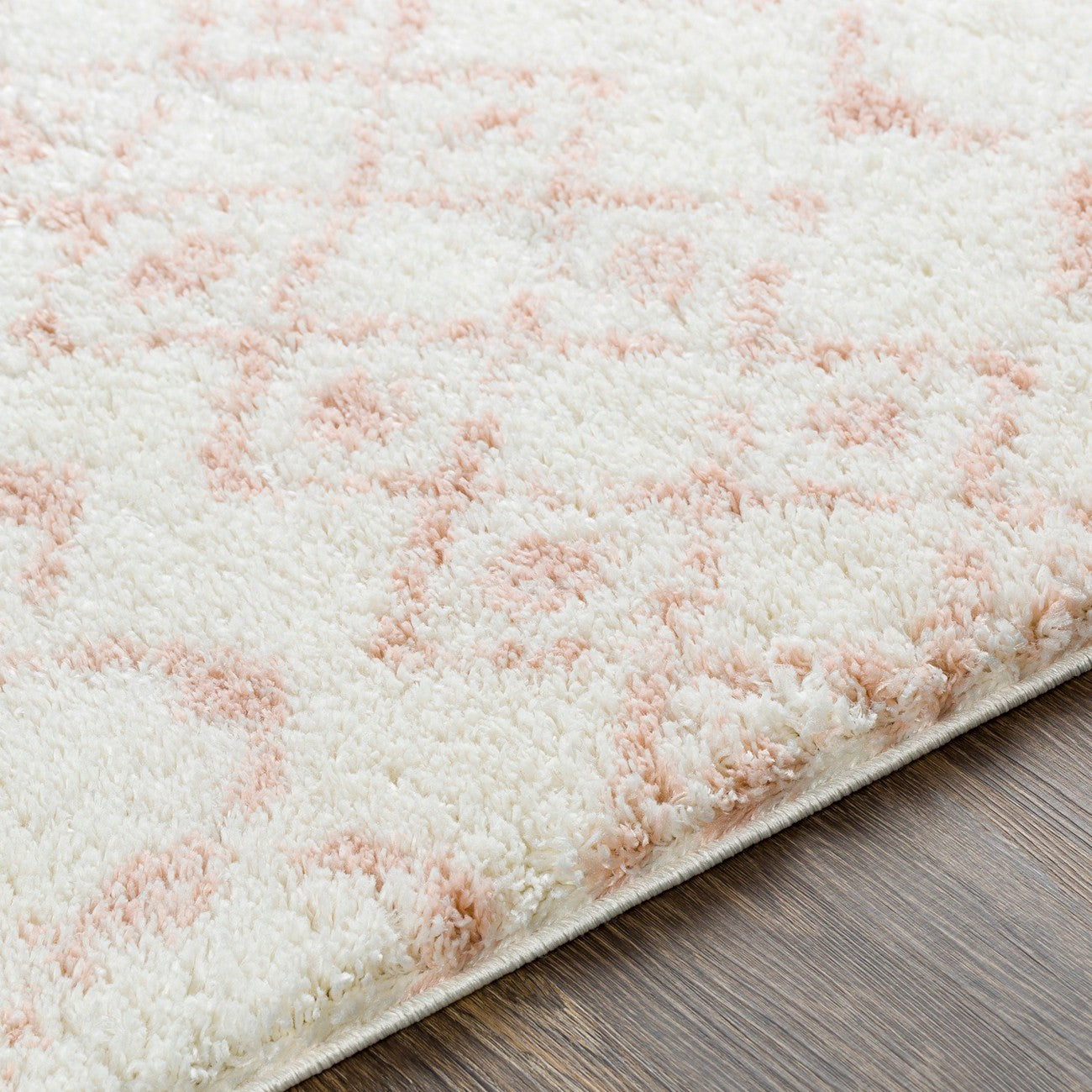 SAANJH Shaggy Global Plush Pile Pale Pink Area Rug Texture