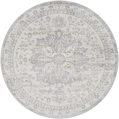 SAGE Vintage Traditional Oriental Boho Medium Grey Area Rug Flat