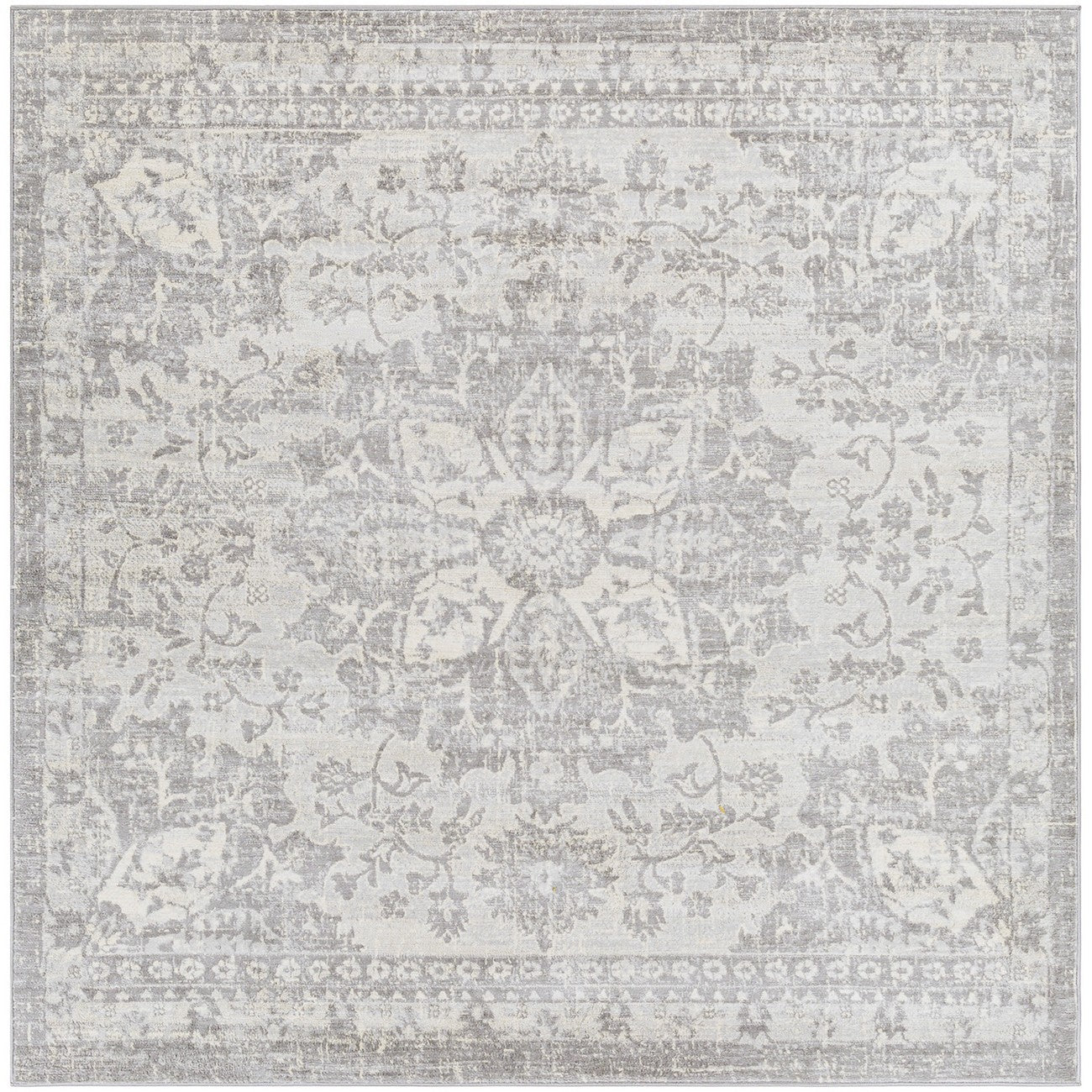 SAGE Vintage Traditional Oriental Boho Medium Grey Area Rug Flat