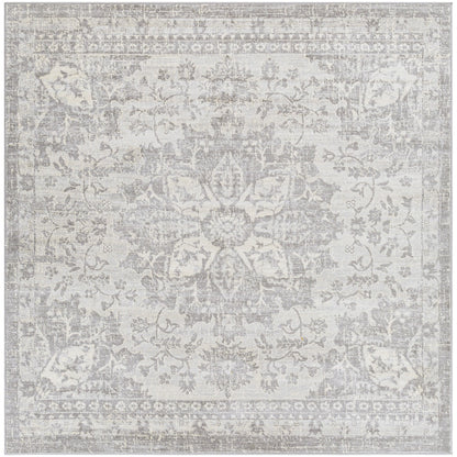 SAGE Vintage Traditional Oriental Boho Medium Grey Area Rug Flat