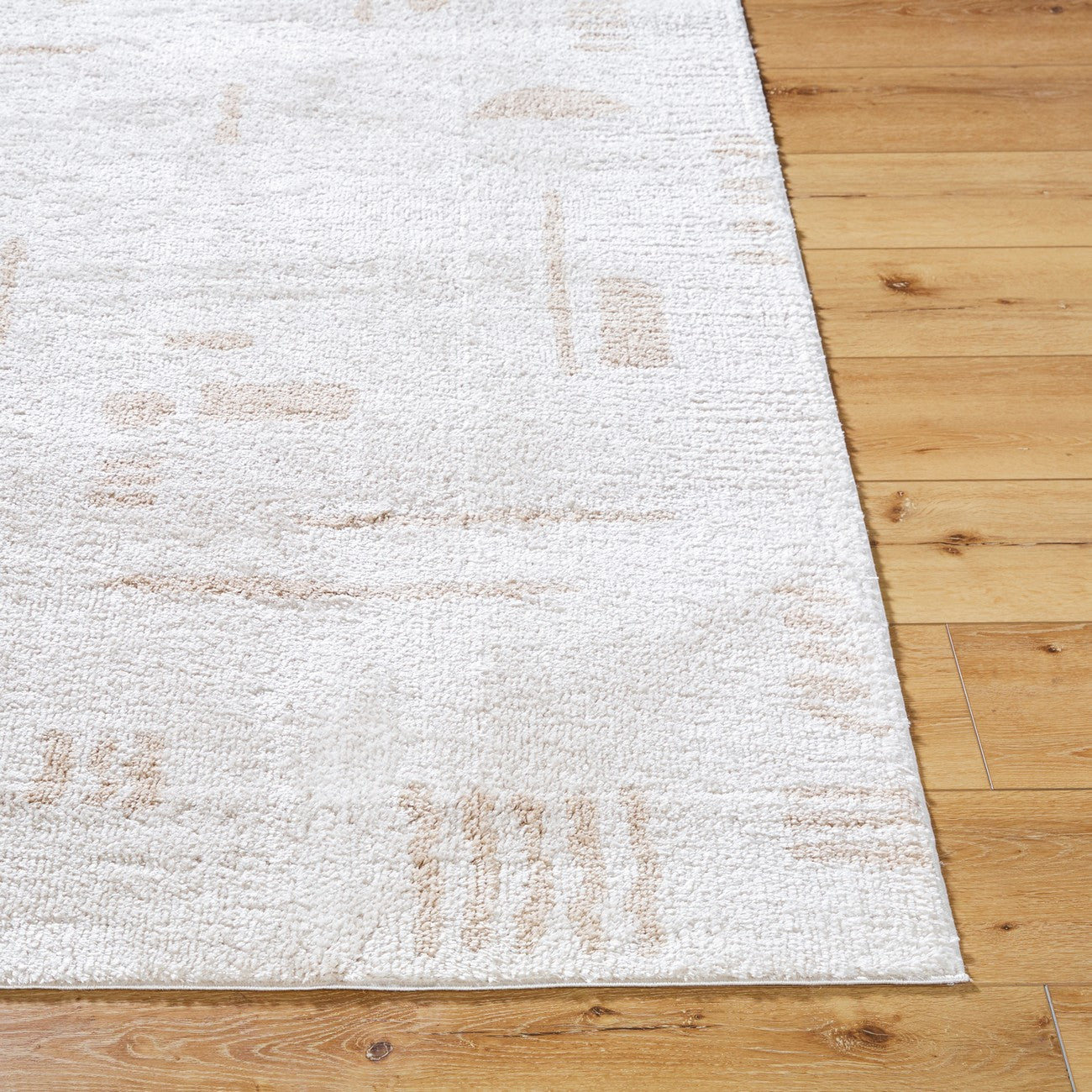 SOLINE Machine Washable Modern Shaggy Beige Area Rug Front