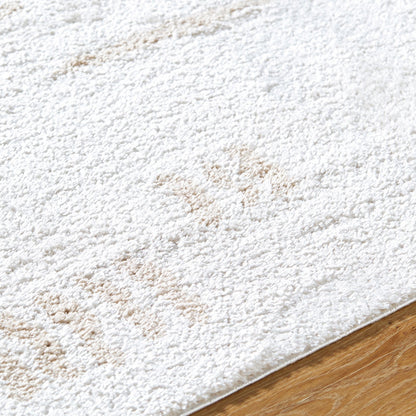 SOLINE Machine Washable Modern Shaggy Beige Area Rug Texture