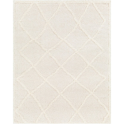 SUMAYA Shaggy Modern Plush Pile Cream Area Rug Flat