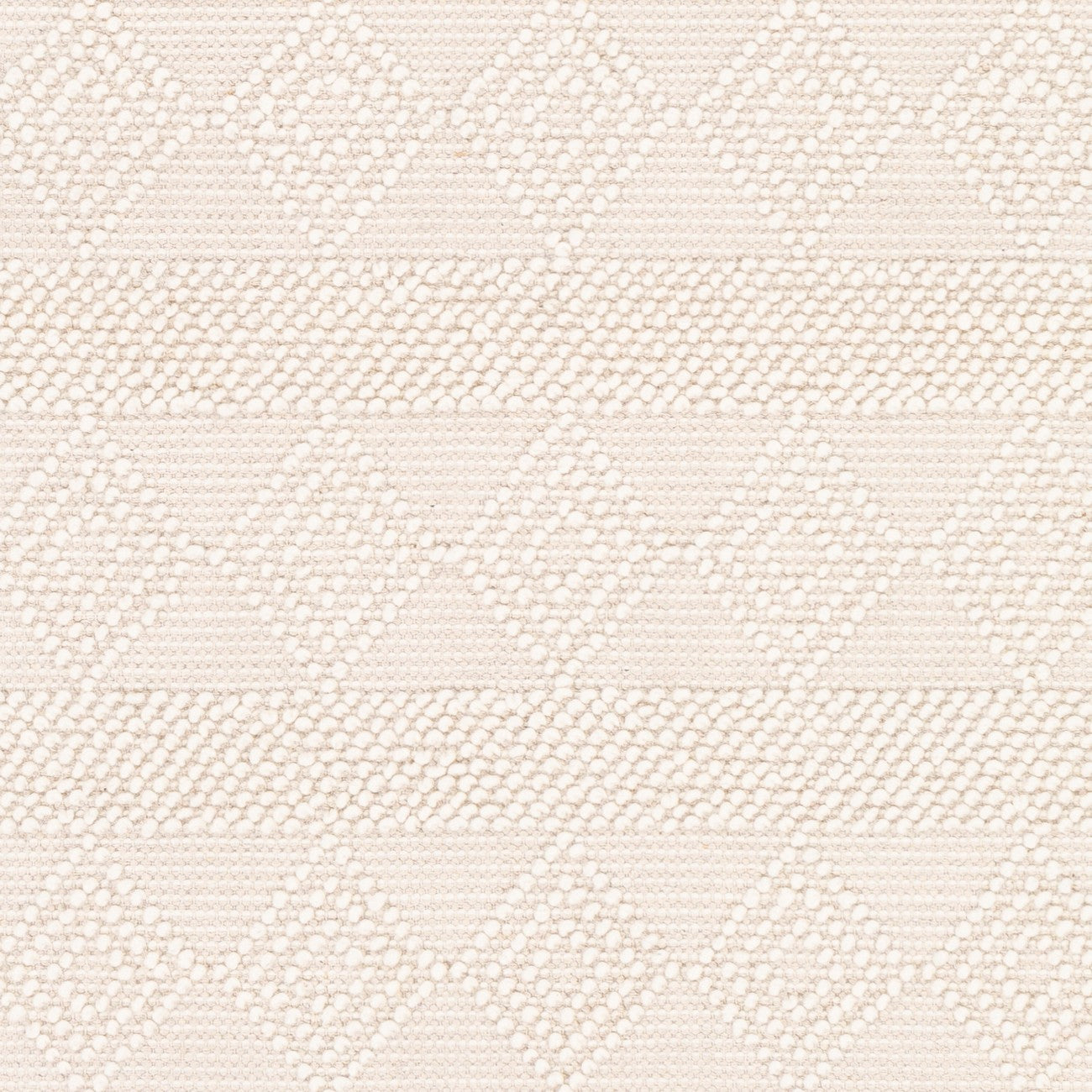 TARINI Hand-Woven Cottage Wool White Area Rug Swatch