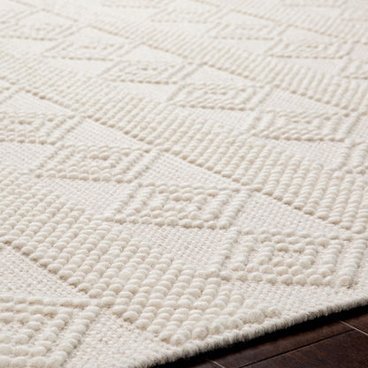 TARINI Hand-Woven Cottage Wool White Area Rug Texture