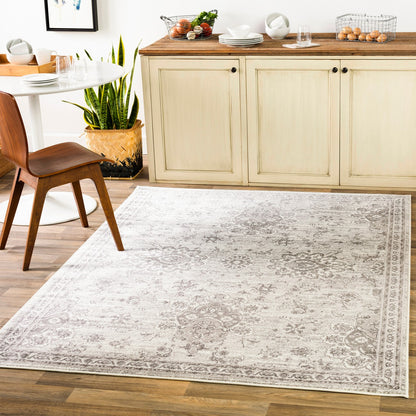 URMI Vintage Traditional Oriental Boho Light Grey Area Rug Roomscene