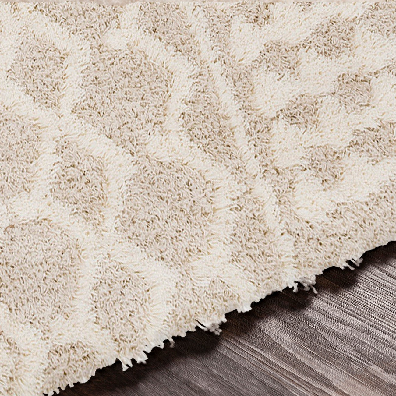 NOUR Shaggy Geometric Plush Pile Cream Beige Area Rug Texture