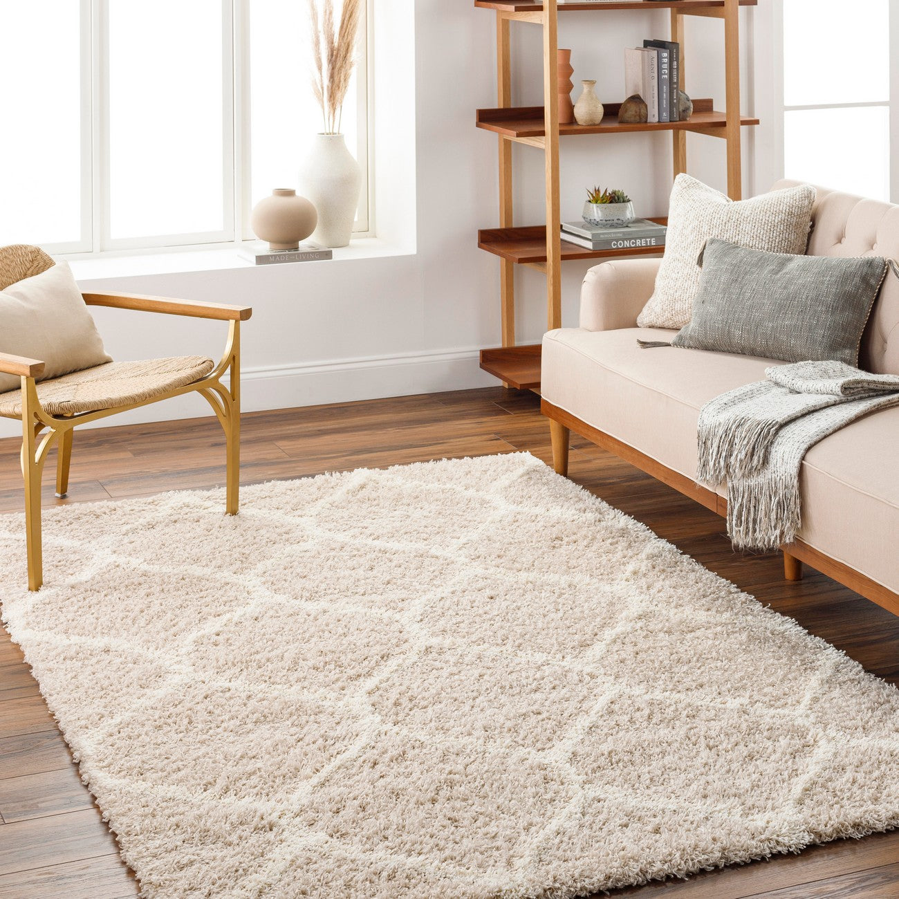JUDY Shaggy Cottage Plush Pile Beige Area Rug Roomscene