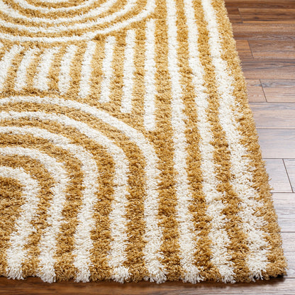 CHRISTINA Shaggy Modern Plush Pile Camel Area Rug Front