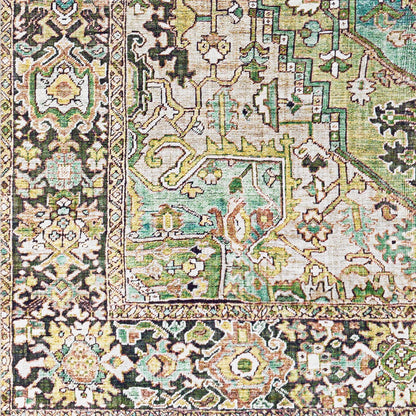 VIORRICA Vintage Oriental Boho Dark Green Area Rug Swatch