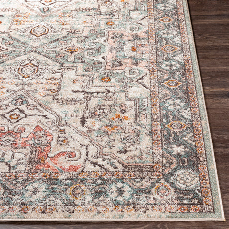Dia Vintage Oriental Boho Brick Rug - Image 5