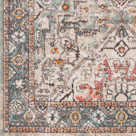 Dia Vintage Oriental Boho Brick Rug - Image 7