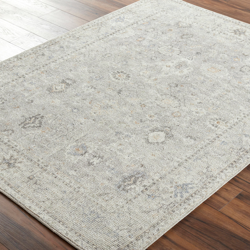 Davina Becki Owens x Livabliss Vintage Oriental Boho Light Grey Rug - Image 6