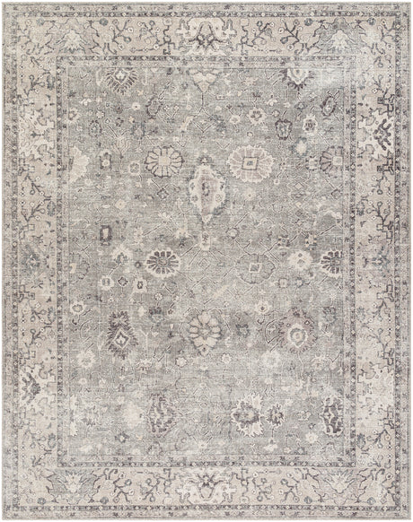 Davina Becki Owens x Livabliss Vintage Oriental Boho Beige/Dark Brown Rug - Image 1