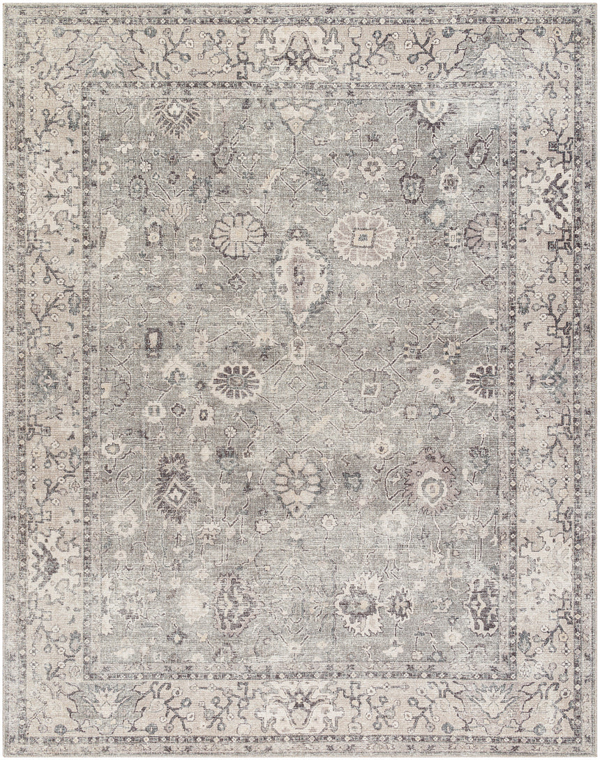 Davina Becki Owens x Livabliss Vintage Oriental Boho Beige/Dark Brown Rug - Image 1