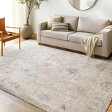 Marlene Becki Owens x Livabliss Vintage Oriental Boho Grey/Pale Blue Rug
