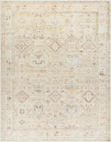 Marlene Becki Owens x Livabliss Vintage Oriental Boho Medium Brown Rug