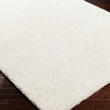 Claire Shaggy Solid Color Plush Pile Light Grey Rug