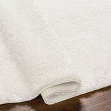 Claire Shaggy Solid Color Plush Pile Light Grey Rug