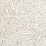 Claire Shaggy Solid Color Plush Pile Light Grey Rug