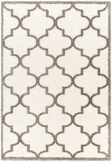 Ellie Shaggy Cottage Plush Pile Ivory Rug - Image 1
