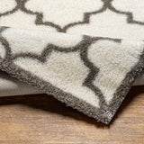 Ellie Shaggy Cottage Plush Pile Ivory Rug - Image 4