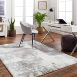 Sayuntka Shaggy Modern Plush Pile Ivory Rug
