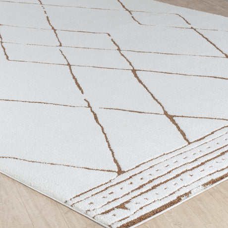 Hannah Berber Modern High Pile Ivory/Brown Rug - Image 6