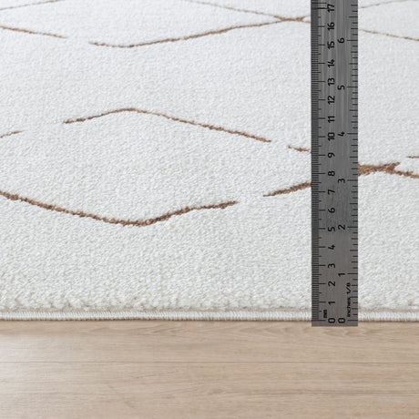 Hannah Berber Modern High Pile Ivory/Brown Rug - Image 7