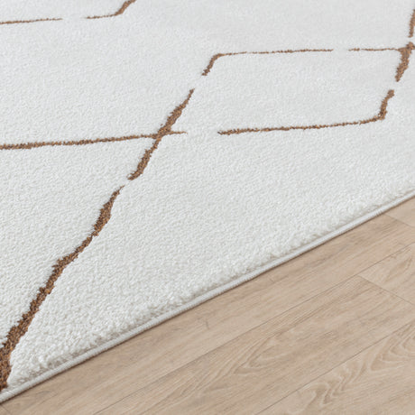 Hannah Berber Modern High Pile Ivory/Brown Rug - Image 3