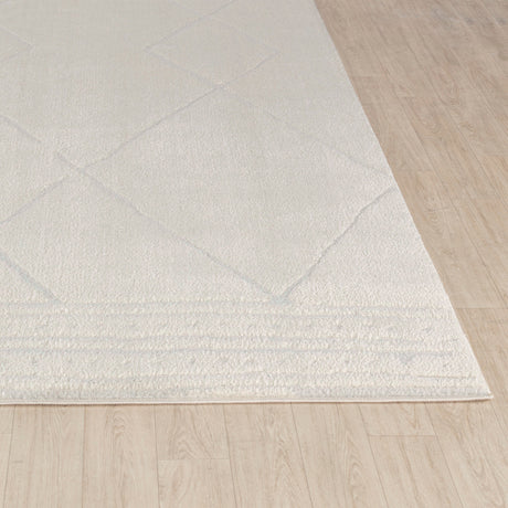 Hannah Berber Modern High Pile Ivory/Off-White Rug - Image 5