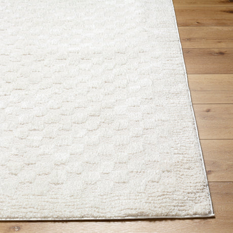 Ekta Scandi Modern High Pile Ivory/Off-White Checkered Rug - Image 5