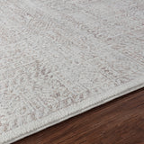 Dania Vintage Oriental Boho Tan/Grey Rug - Image 3