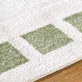 Amine Machine Washable Modern Shaggy Grass Green Rug