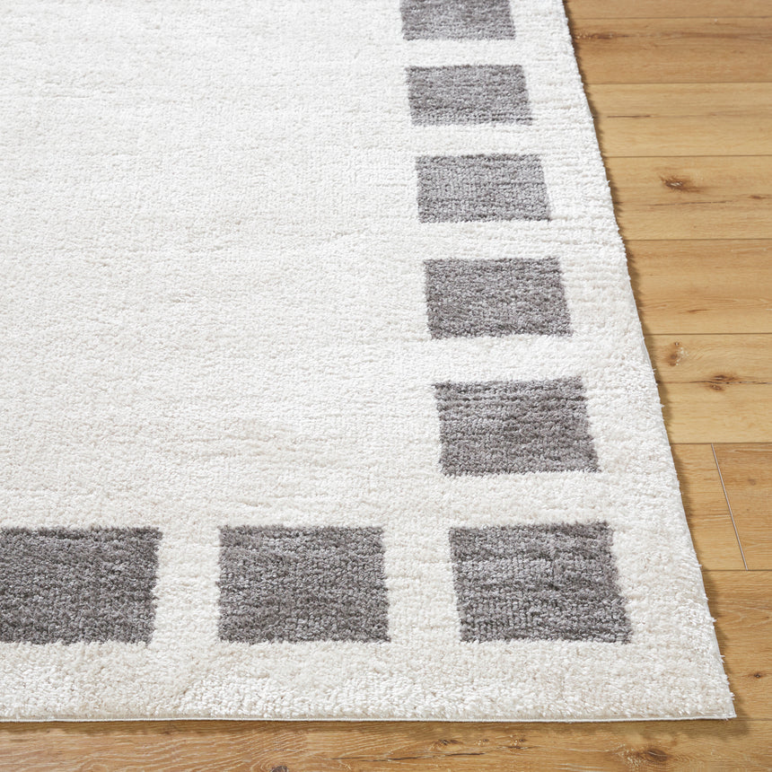 Amine Machine Washable Modern Shaggy Charcoal Rug