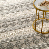 Tarini Hand-Woven Cottage Wool Charcoal Rug