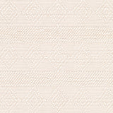 Tarini Hand-Woven Cottage Wool White Rug