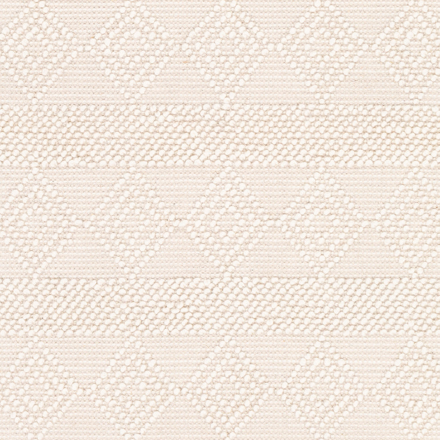 Tarini Hand-Woven Cottage Wool White Rug