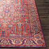 Doina Vintage Oriental Boho Sky Burnt Orange Rug - Image 5