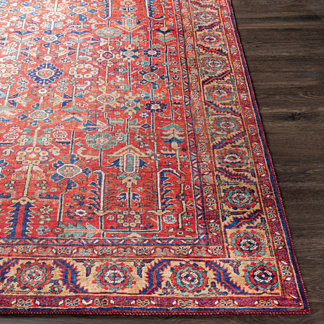 Doina Vintage Oriental Boho Sky Burnt Orange Rug - Image 5