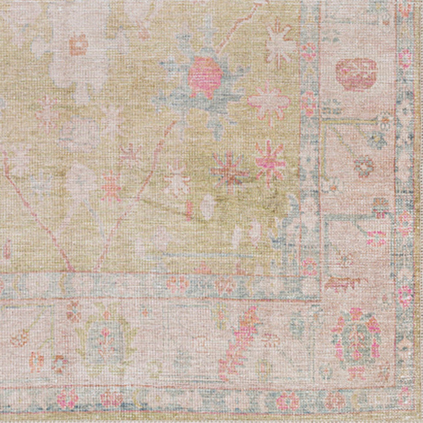 Amari Machine Washable Traditionnal Boho Sage Rug