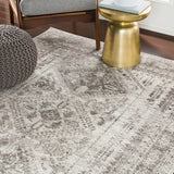 Neelam Vintage Oriental Boho Light Grey/White/Charcoal Rug