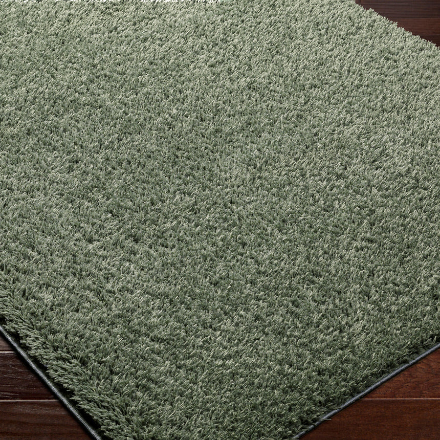 Soso Shaggy Solid Color Plush Pile Green Rug